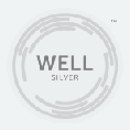 WELL銀級