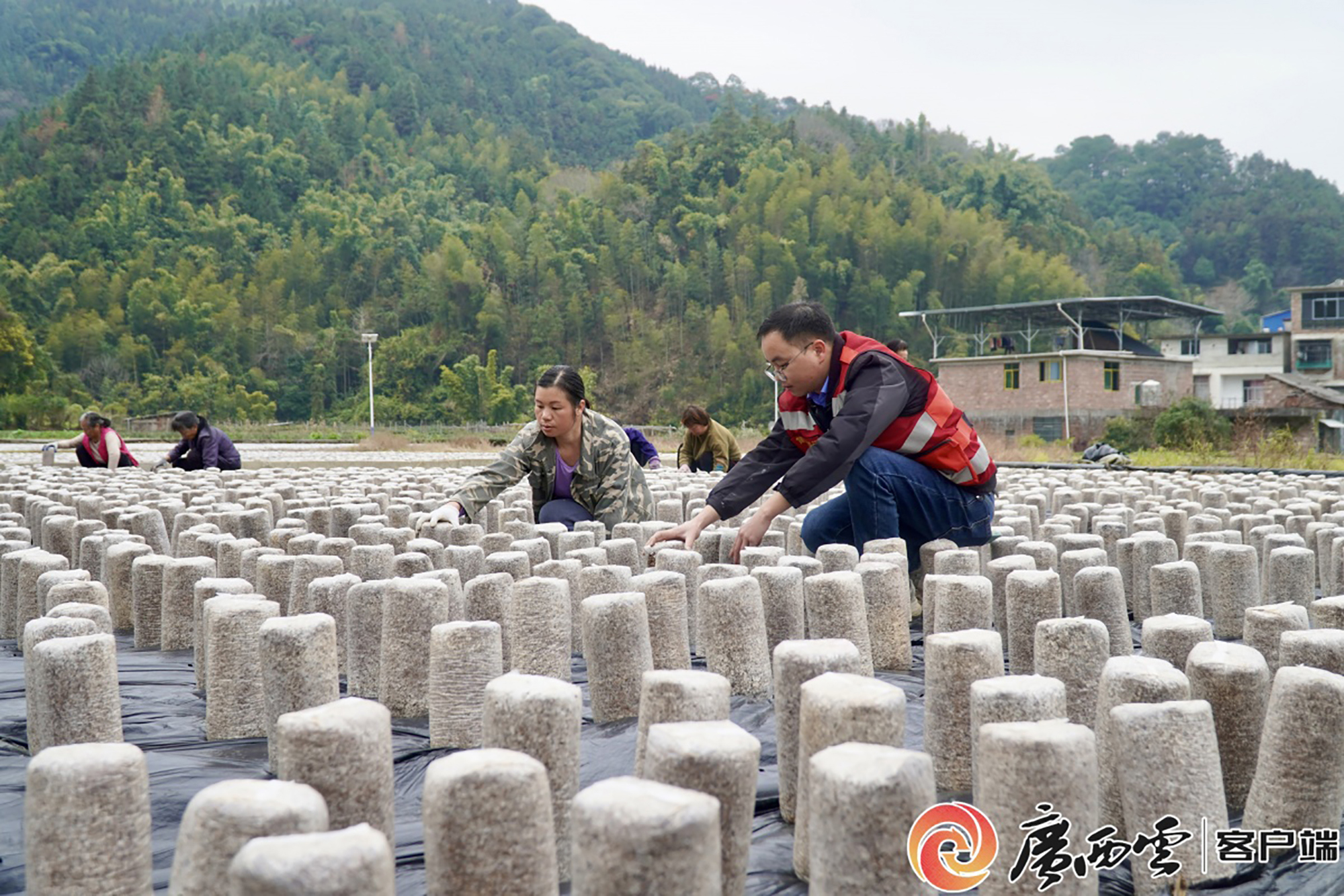 ab186a6224810da0cbb04efd73416300_wmbe5c